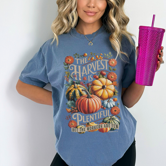 The harvest is plentiful but the workers are few Matthew 9:37 blue t-shirt with small and large colorful pumpkins