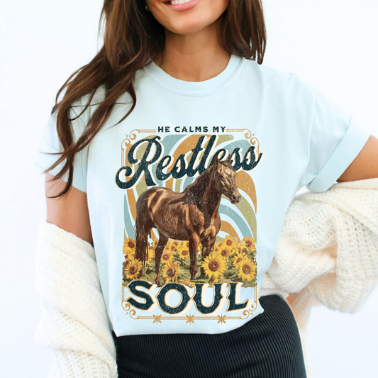 Person wearing a light blue t-shirt with a horse and sunflower design and text 'He calms my restless soul'.