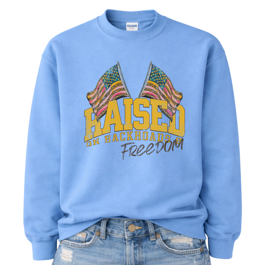 Light blue sweatshirt with colorful flag design and text 'Raised on Backroads Freedom' on a white background.