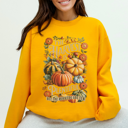Fall pumpkins Christian graphic sweatshirt, Religious crewneck