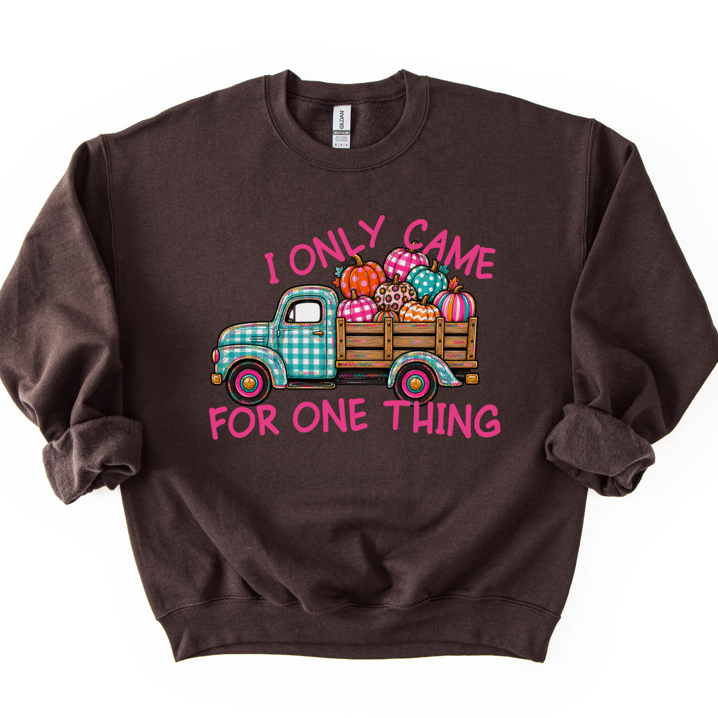 "I only came for one thing" Cute blue and white plaid old fashioned vintage truck carrying colorful plaid, striped, polka dot and leopard print pumpkins on a chocolate color sweatshirt