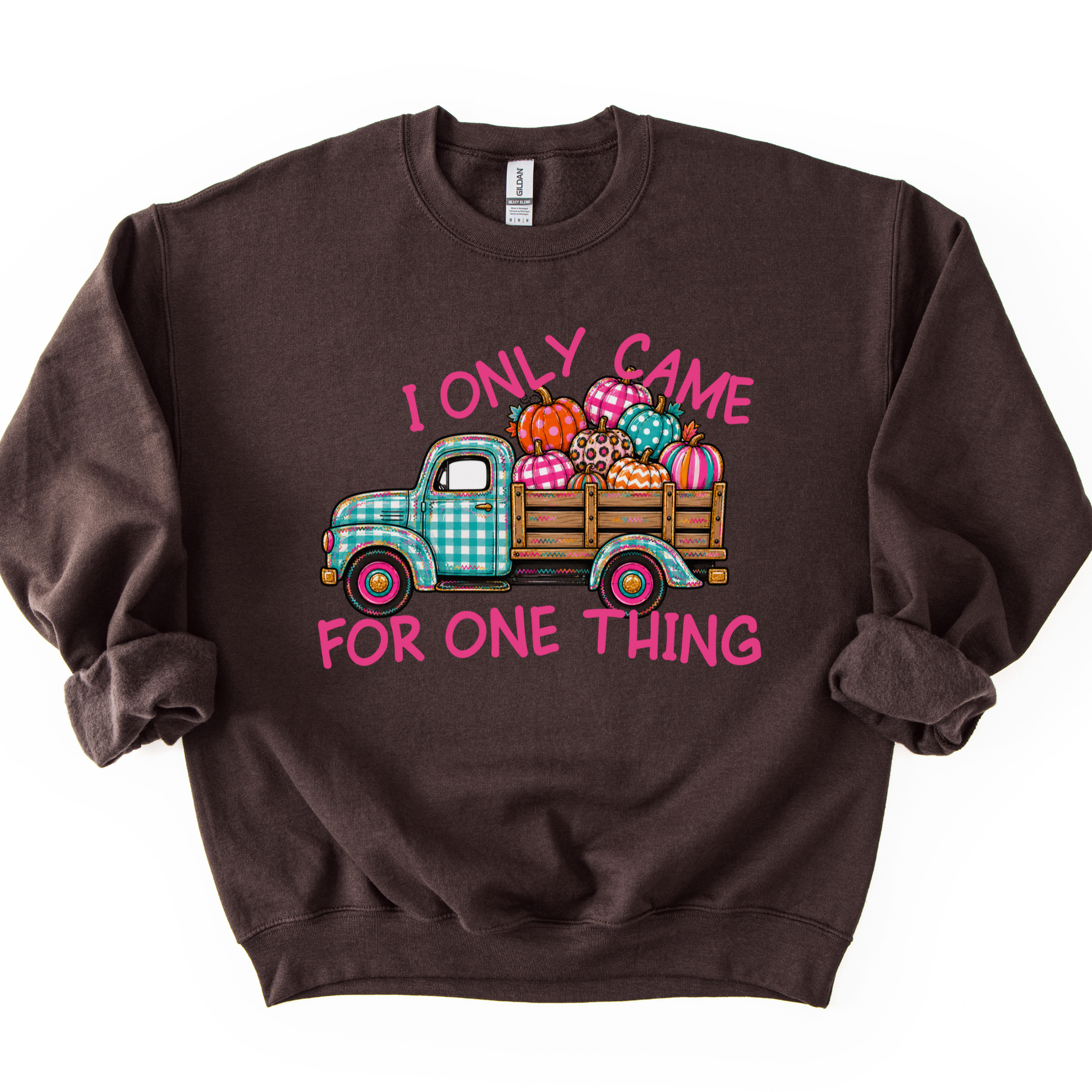 "I only came for one thing" Cute blue and white plaid old fashioned vintage truck carrying colorful plaid, striped, polka dot and leopard print pumpkins on a chocolate color sweatshirt