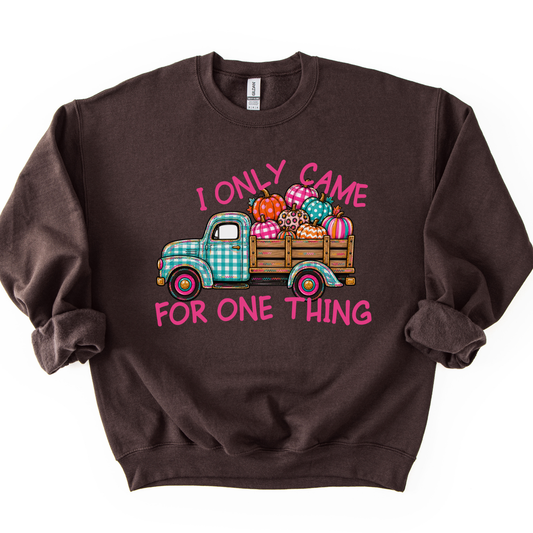 "I only came for one thing" Cute blue and white plaid old fashioned vintage truck carrying colorful plaid, striped, polka dot and leopard print pumpkins on a chocolate color sweatshirt