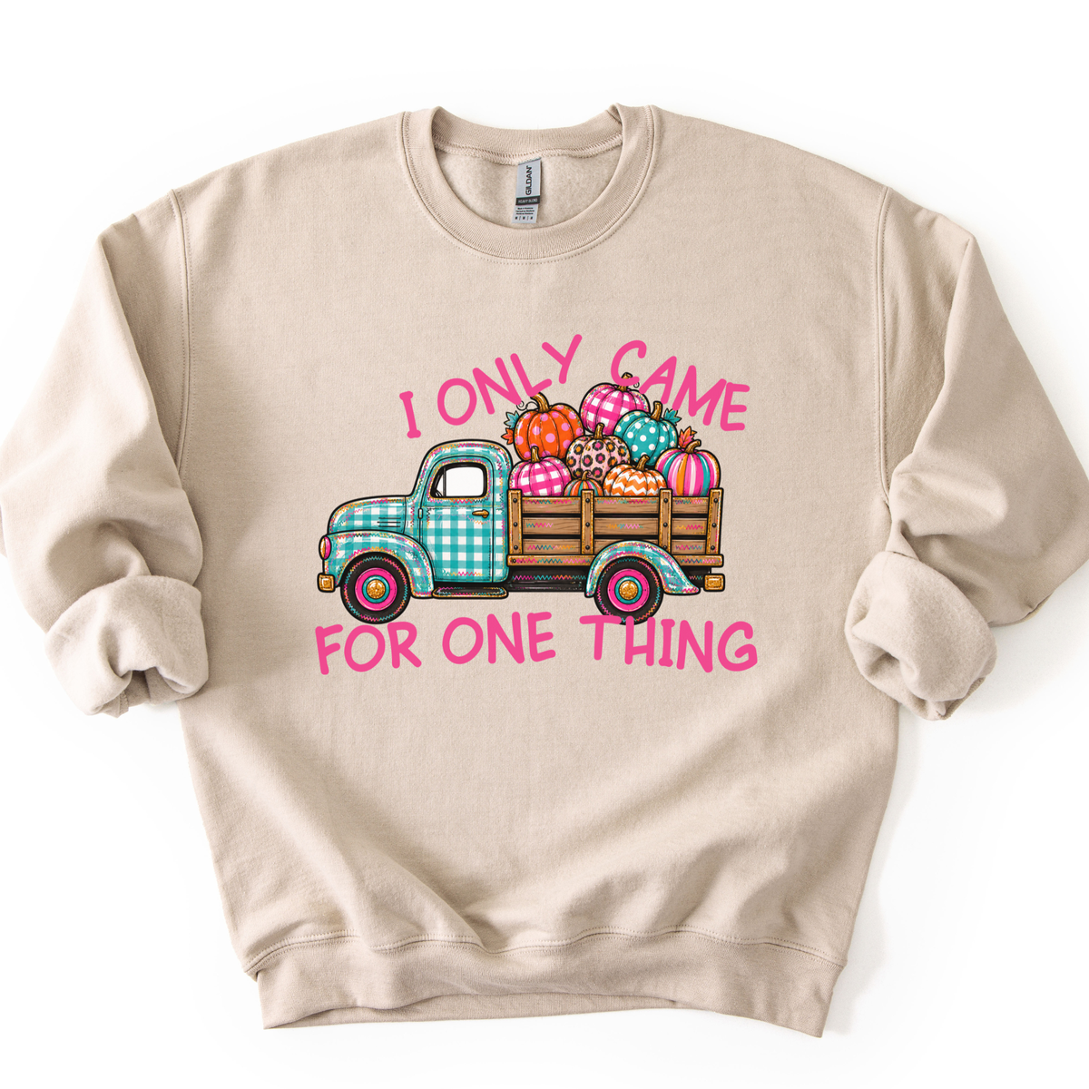 "I only came for one thing" Cute blue and white plaid old fashioned vintage truck carrying colorful plaid, striped, polka dot and leopard print pumpkins on a sand color sweatshirt