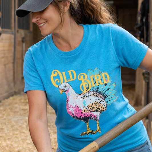 Person wearing a blue t-shirt with a colorful bird graphic and 'Old Bird' text, standing in a barn.