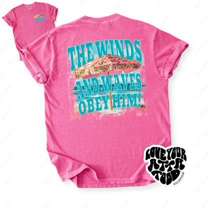 Matthew 8:27 The Winds and Waves Christian T-Shirt | ATTA TOOD®