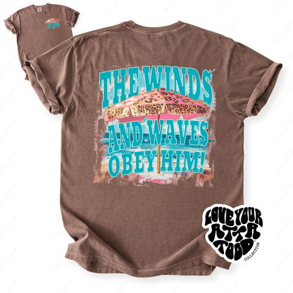 Matthew 8:27 The Winds and Waves Christian T-Shirt | ATTA TOOD®